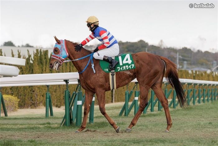 シルクロードS】波乱を呼ぶ逃げ脚炸裂！フィオライアが重賞初制覇