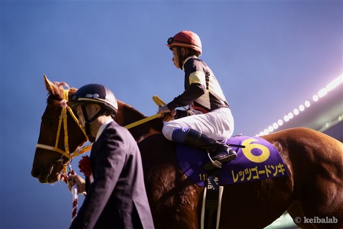 レッツゴードンキ - Let's Go Donki - 競走馬データベース | 競馬ラボ