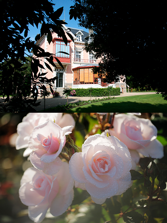 田丸麻紀さん、ディオール プレステージ ローズシリーズに出会う