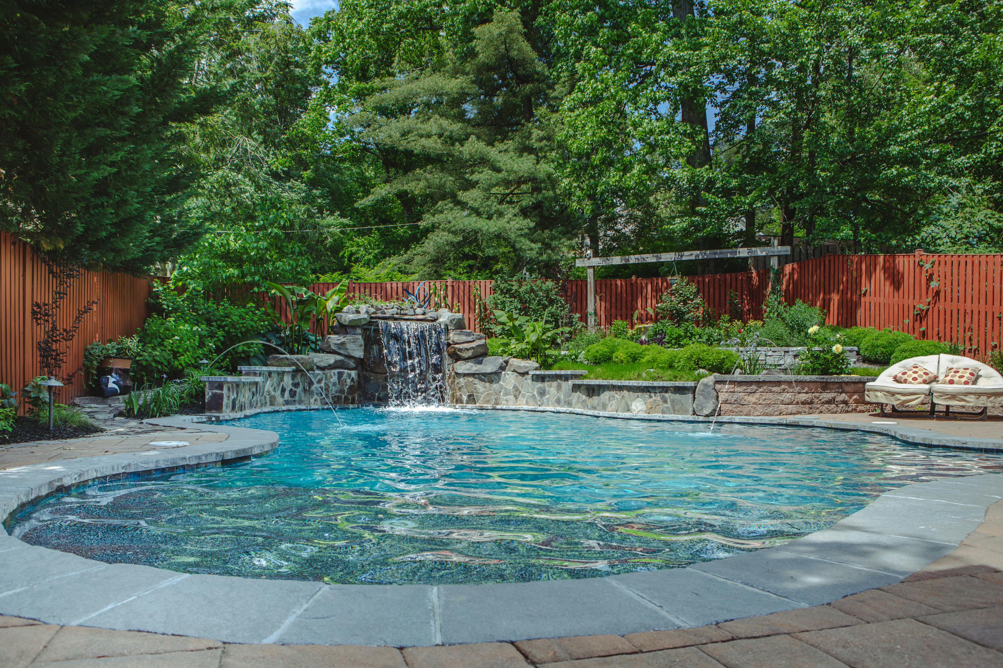 🌴 Taste of the Tropics (as seen in Washingtonian Magazine