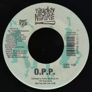 NAUGHTY BY NATURE / ノーティ・バイ・ネイチャー商品一覧｜ディスク