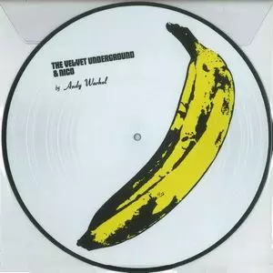 VELVET UNDERGROUND & NICO (PICTURE DISC LP)/VELVET UNDERGROUND
