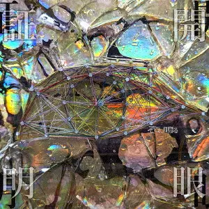 SOKONINARU / そこに鳴る商品一覧｜ディスクユニオン・オンライン