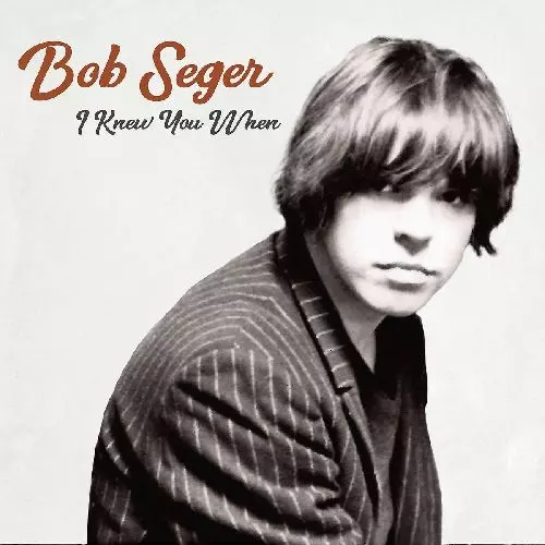 BOB SEGER / ボブ・シーガー商品一覧｜OLD ROCK｜ディスクユニオン