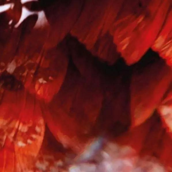 TIGANA SANTANA / チガナ・サンタナ商品一覧｜ディスクユニオン