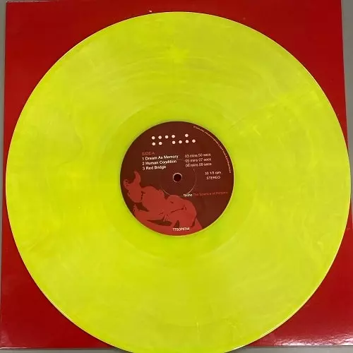 Tycho LPレコード2枚 Tycho LPレコード2枚