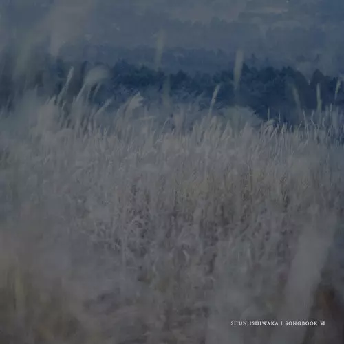 Magnificent Little Dudes Vol.1 (CD)/Chihei Hatakeyama & Shun