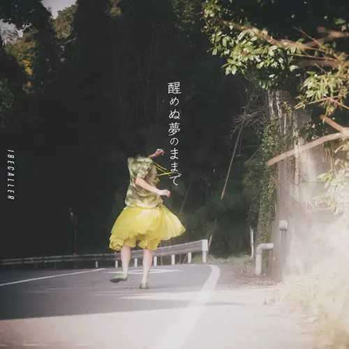 IBECALLER / アイビーカラー商品一覧｜ディスクユニオン・オンライン