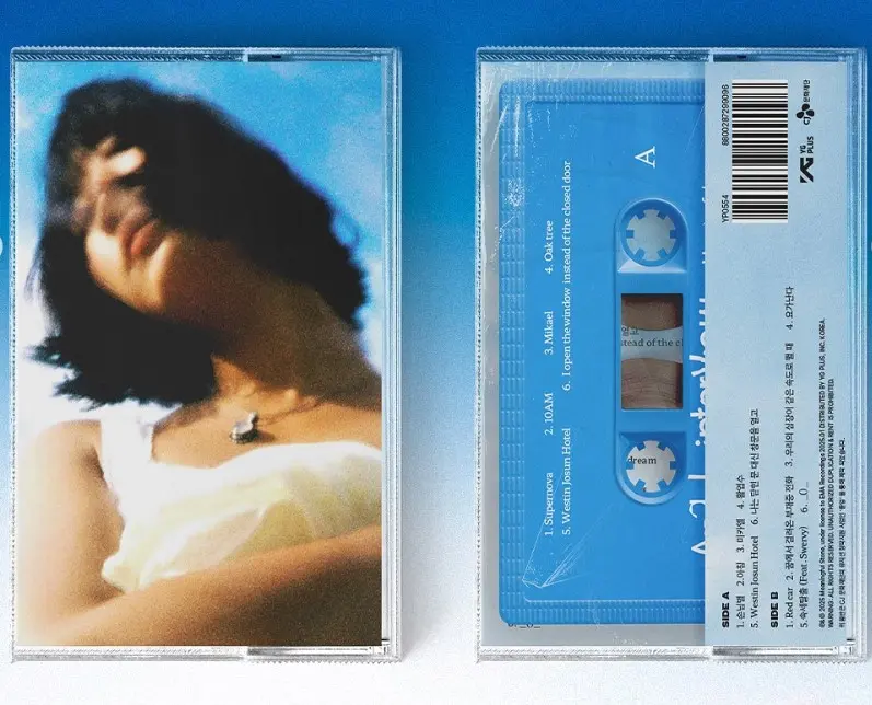 A Call From My Dream(LP)/MEANINGFUL STONE/ミーニングフル・ストーン