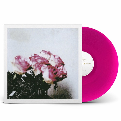 Love Logic (Clear Purple Vinyl)/Minuano/Lampの榊原香保里を