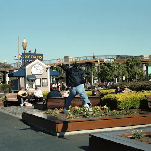 サニービート(LP)/Sunny Day Service/サニーデイ・サービス/作品を