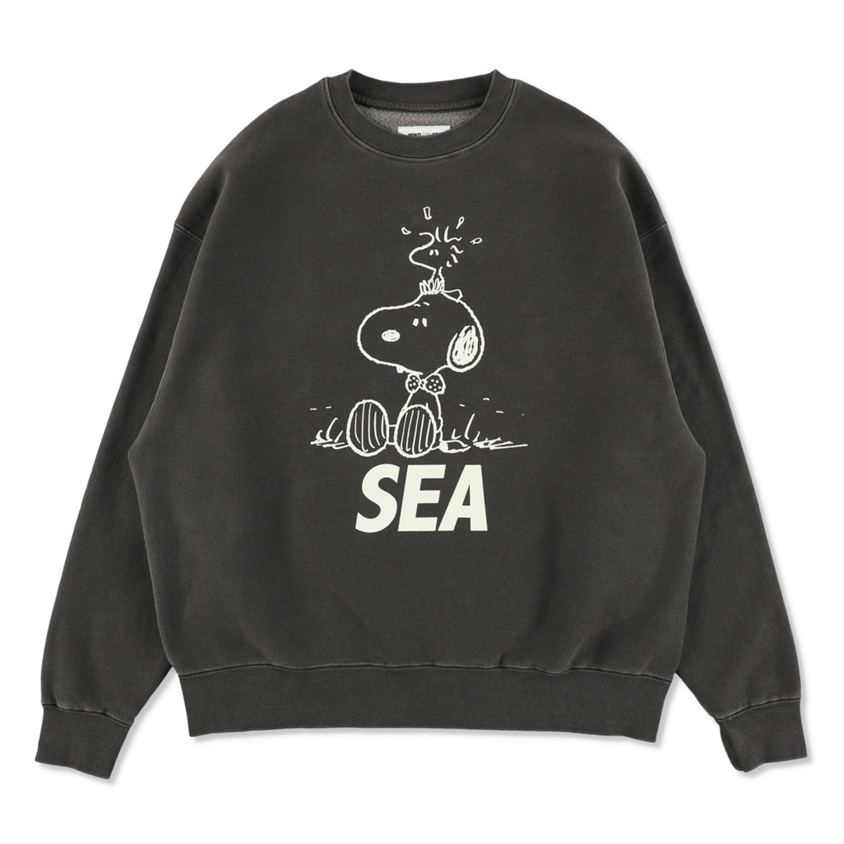 WIND AND SEA / ウィンダンシー | SMOOTHY x WDS Snoopy Pigment