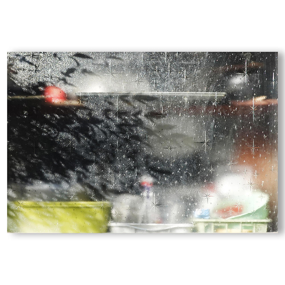 特別限定版／サイン入り／500部限定】windows 奥山由之 奥山由之 -の