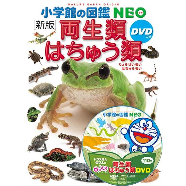 小学館の図鑑NEO [新版] 両生類・はちゅう類 DVDつき -の商品詳細 | 蔦