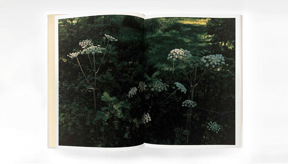 第3版／種類の選択可能】SWISS 長島有里枝（Yurie Nagashima） 写真集