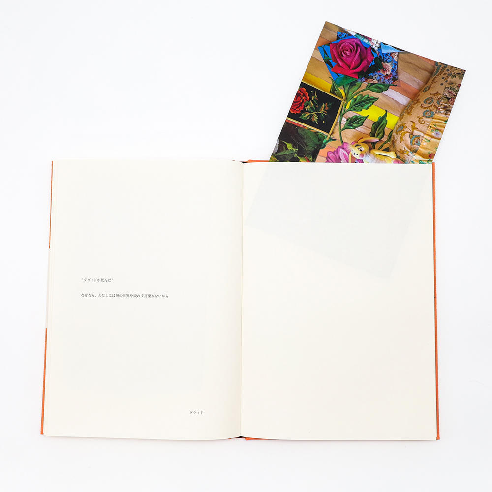 ソフィ・カル】なぜなら ソフィ・カル -の商品詳細 | 蔦屋書店