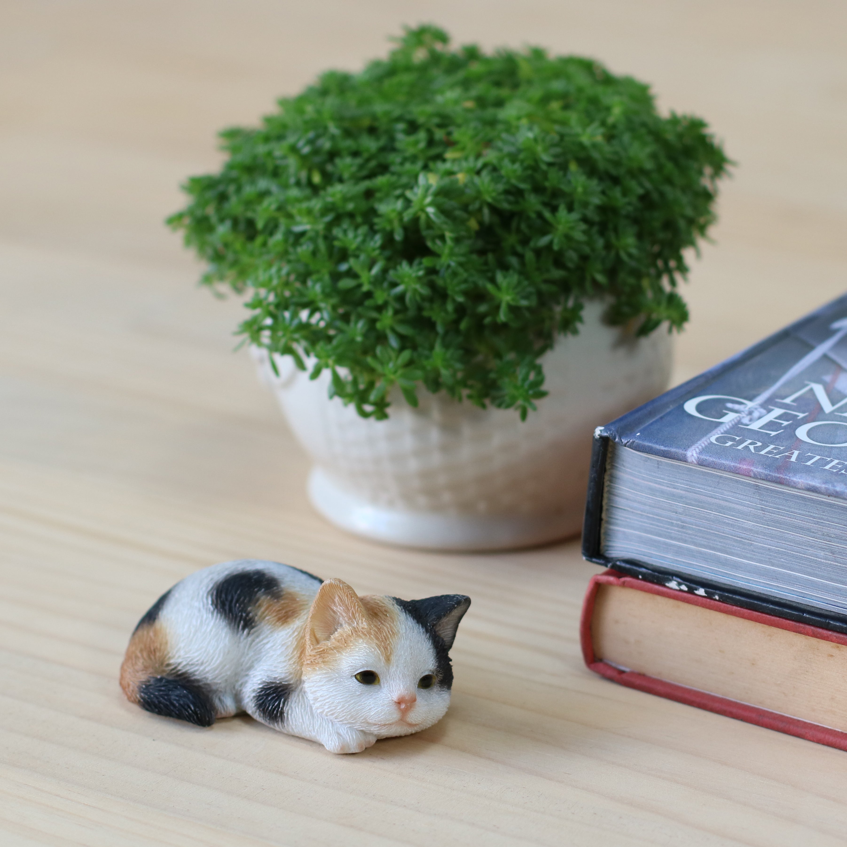 うつぶせ三毛猫｜WooBia公式オンラインショップ – WooBia（ウービア