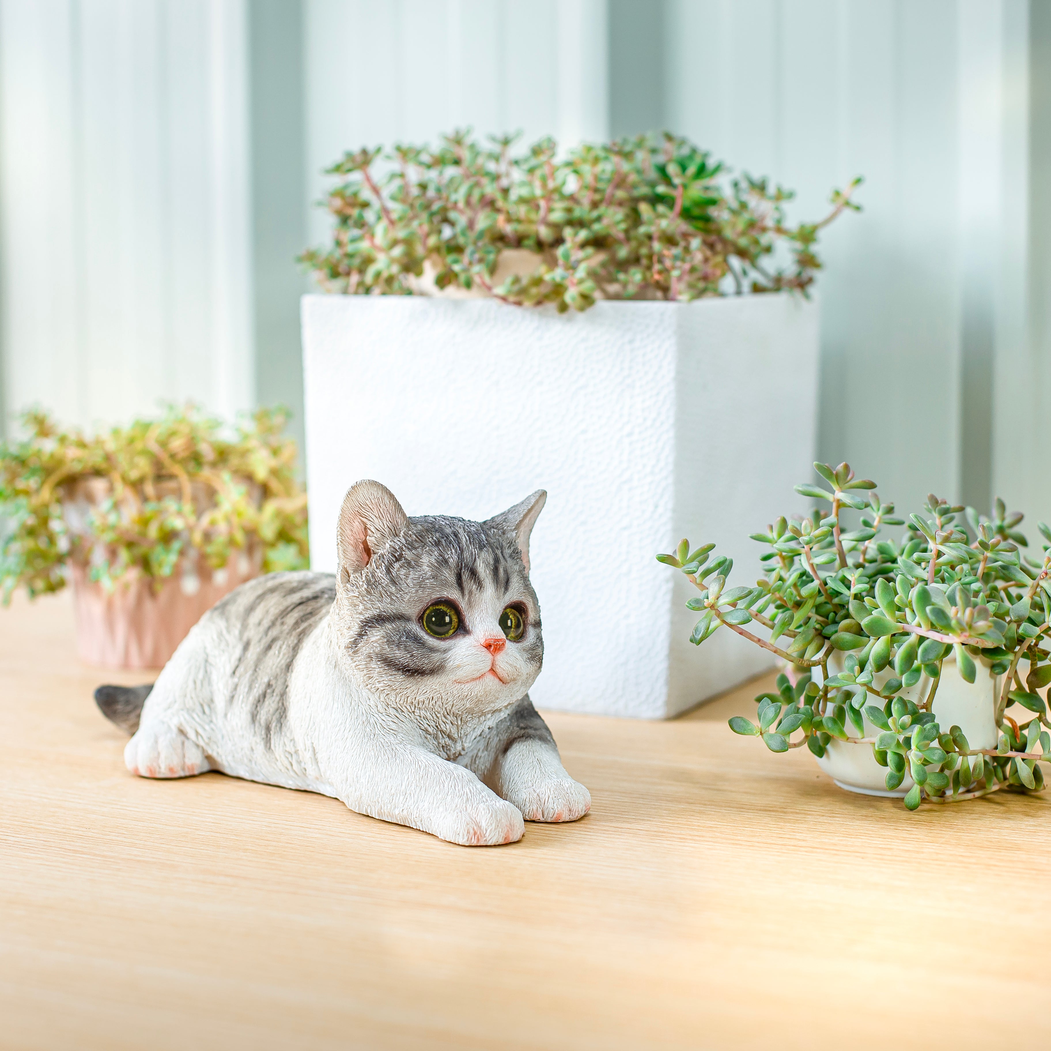 リラックスサバトラ白猫｜WooBia公式オンラインショップ – WooBia