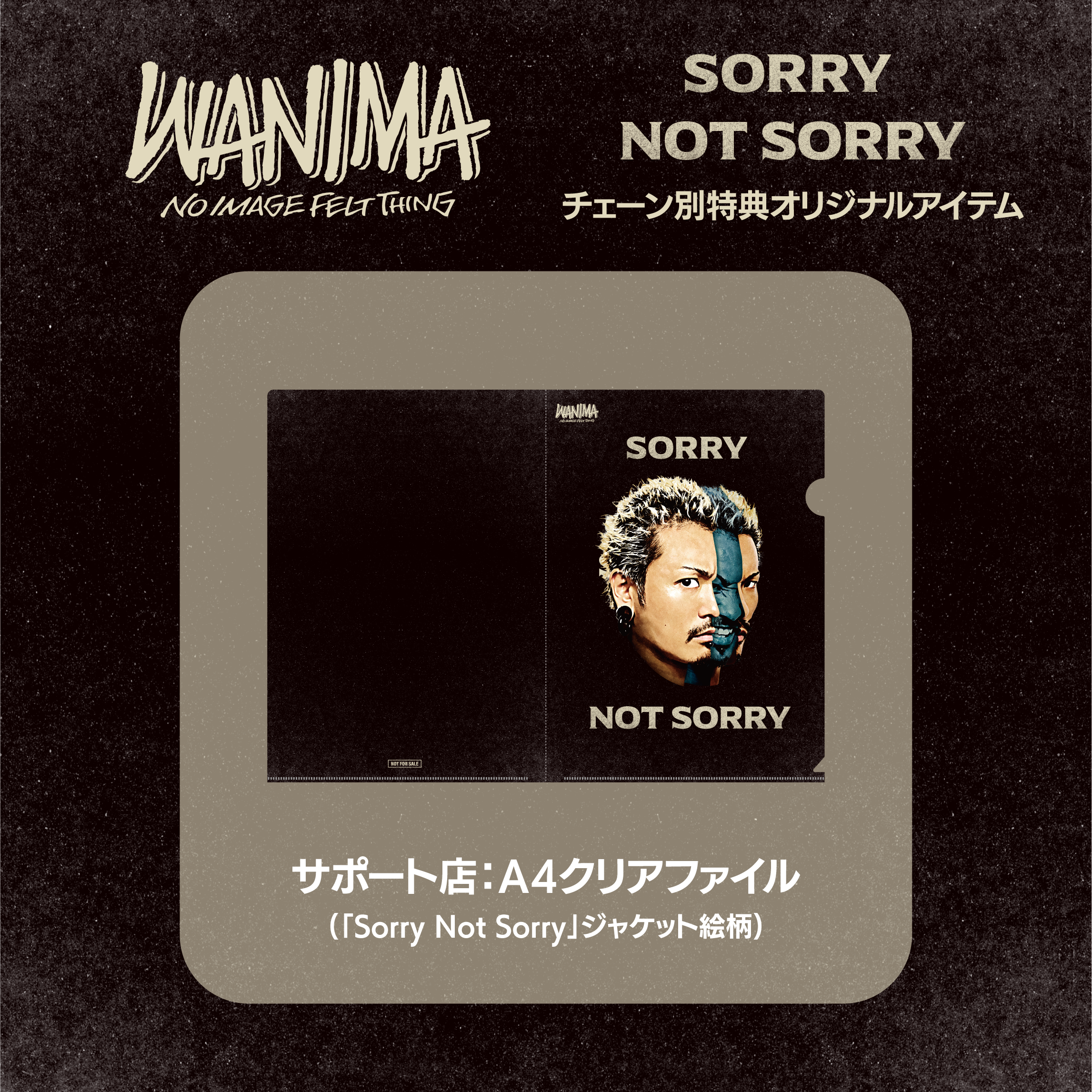 Sorry Not Sorry – ワーナーミュージック・ストア