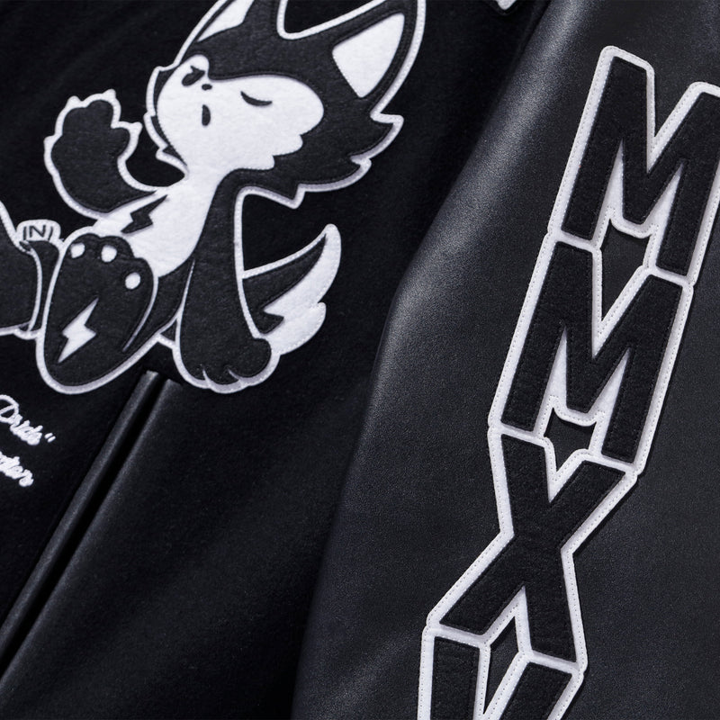 2024 ZETA MASCOT VARSITY JACKET – ZETA DIVISION STORE