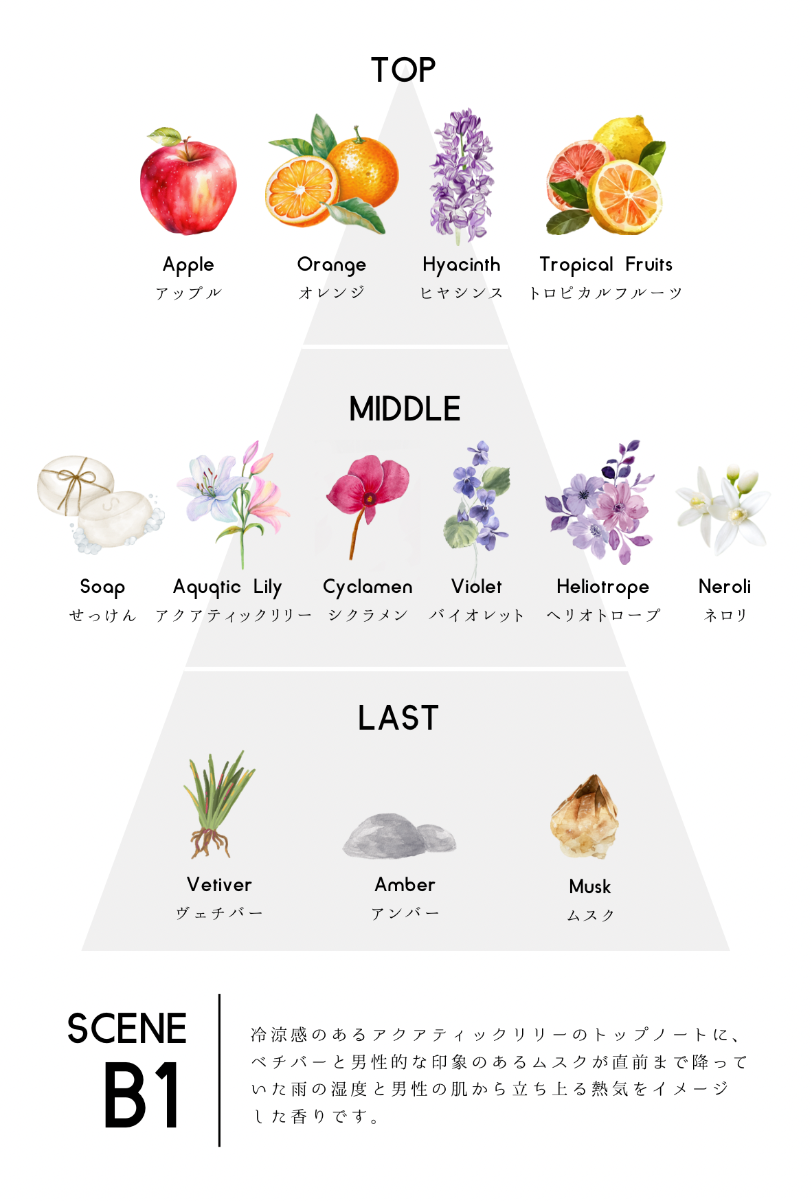 scene B1 EDP – zzzgoo公式オンラインストア