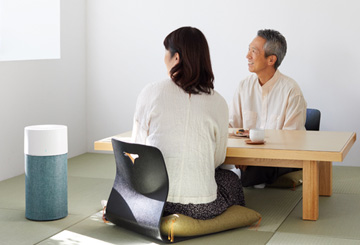 Blue 3210/Blue Pure 411 プレフィルター（オーロラライト） | 【公式