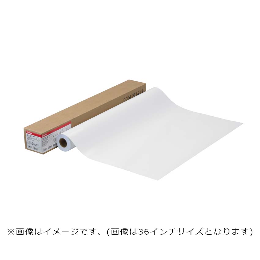 フォト光沢紙HG(薄口) LFM-GPH/60/170:大判プリンター用紙 通販