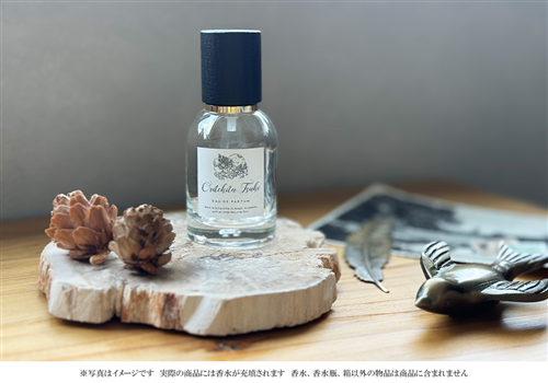 死に戻りの魔法学校生活を、元恋人とプロローグから】香水