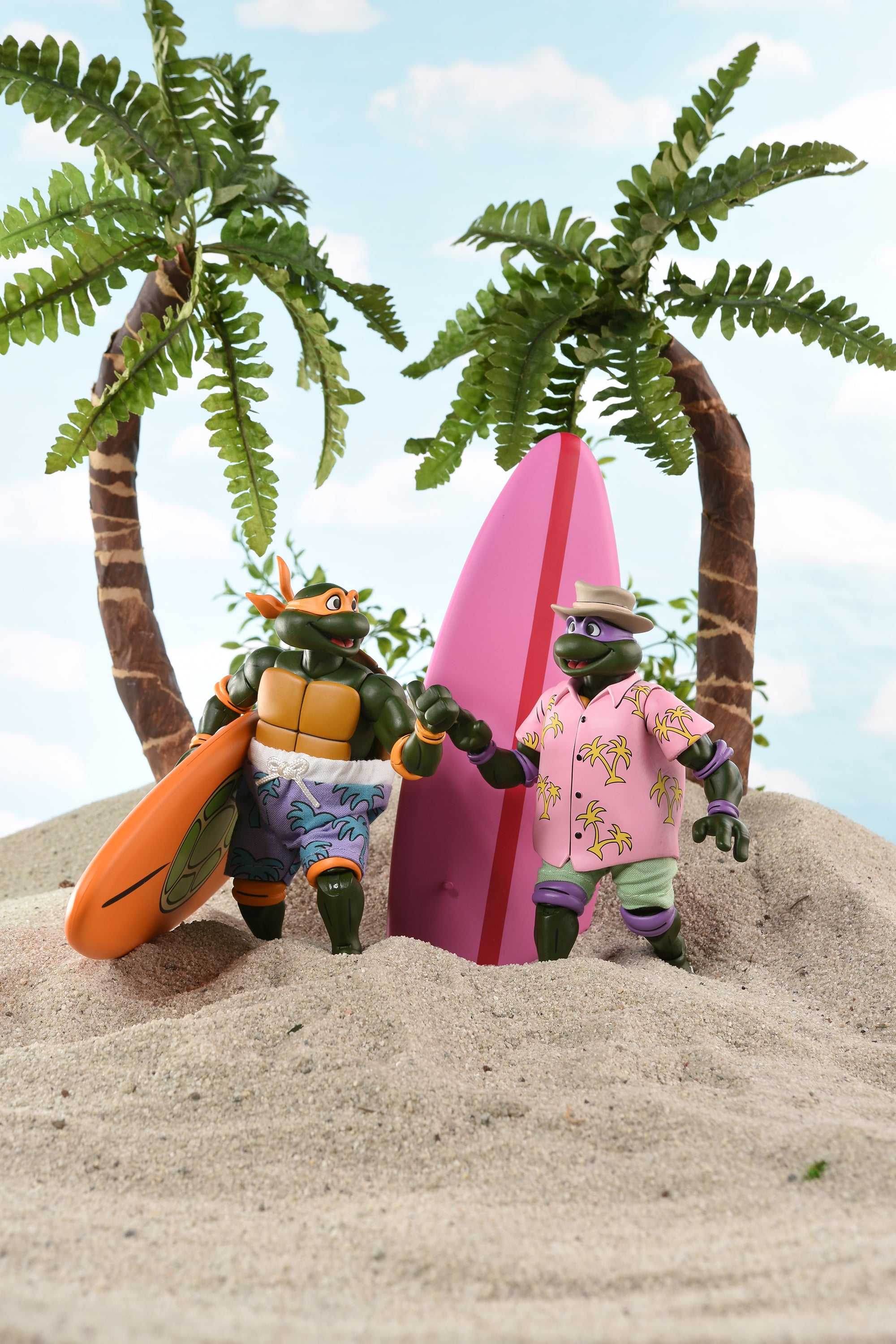 Teenage Mutant Ninja Turtles (Cartoon) - Bodacious Beach Bros