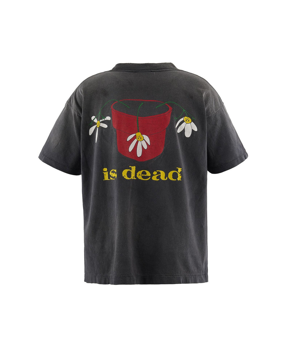 僕はラッコさん【真作】スティーブ・フィールズ 直筆サイン 僕はラッコ