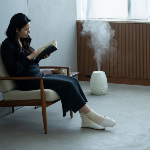 5L超音波式加湿器 SD-C213 | シロカオンラインストア