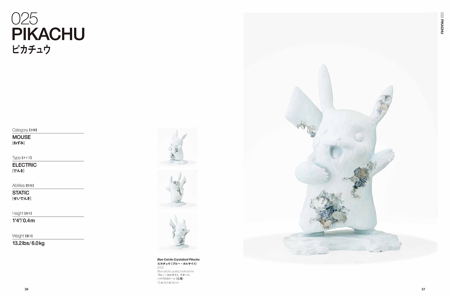 Daniel Arsham - Daniel Arsham x Pokémon: Arsham's Pokédex