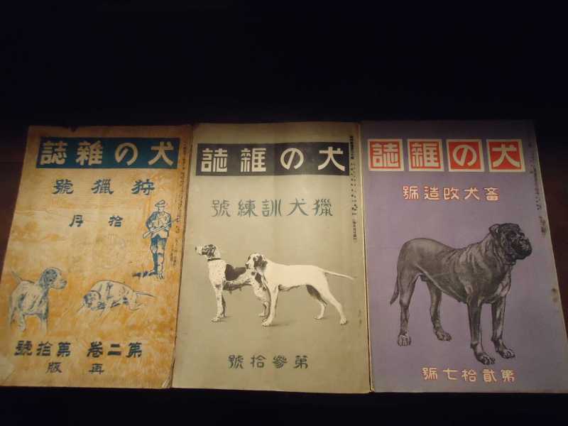 日本犬の歴史・第5回 大正の日本犬 | 帝國ノ犬達
