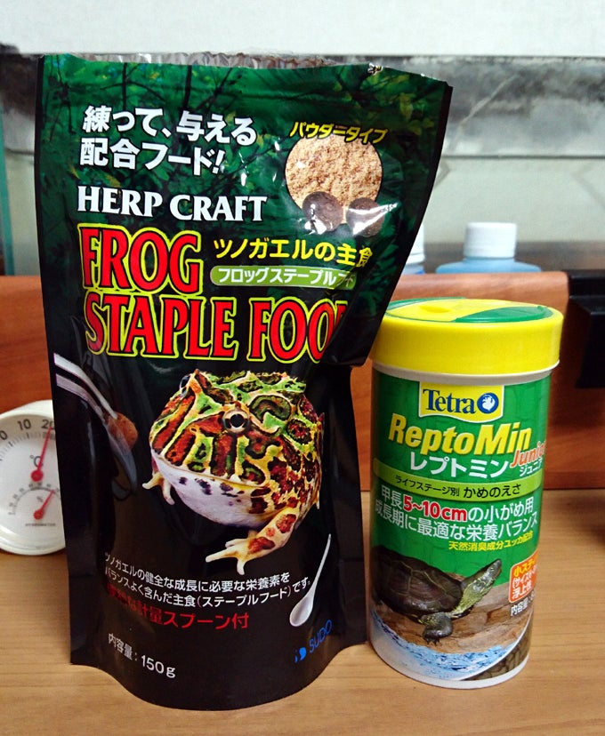 ヒョウモントカゲモドキとフロッグステープルフード | 爬虫類ブレイク