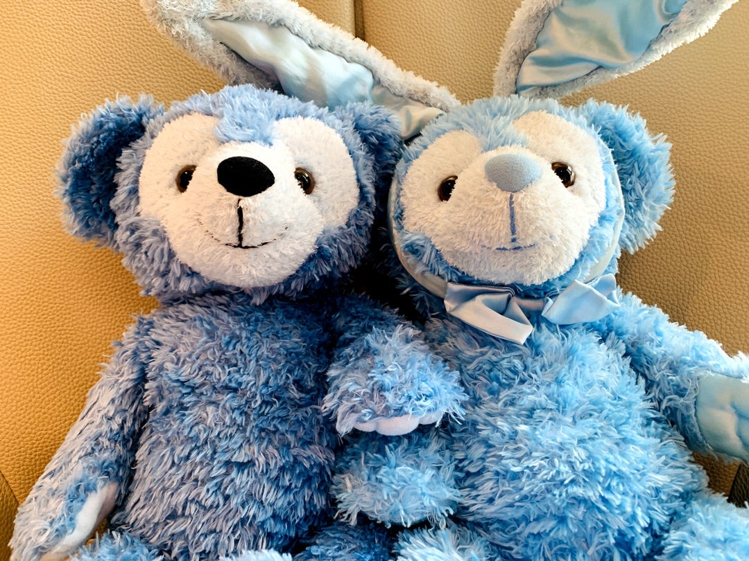 世界で2人だけの青いダッフィー！ | キャラクター大好き！コロ助の生活