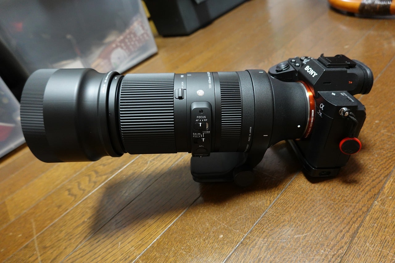 来たよ！SIGMA 100-400mm F5-6.3 DG DN OS Eマウント | tacaの写真