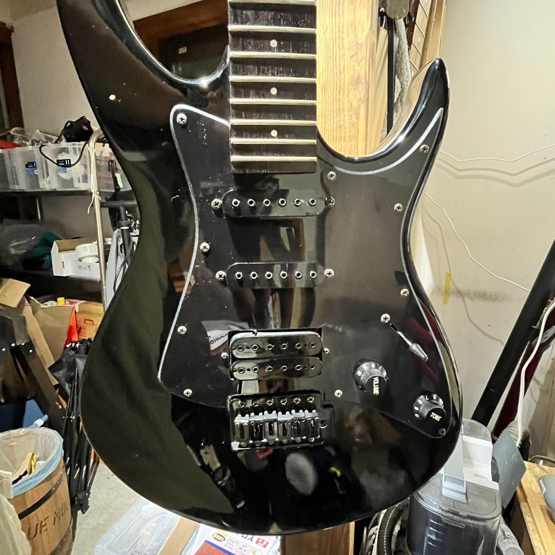 続無駄遣いは止まらない。 Black Dog by Aria Pro II | ギターいじりは