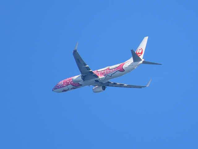 飛行機 JTA ジンベエジェット(さくらジンベエ) | みえたもの