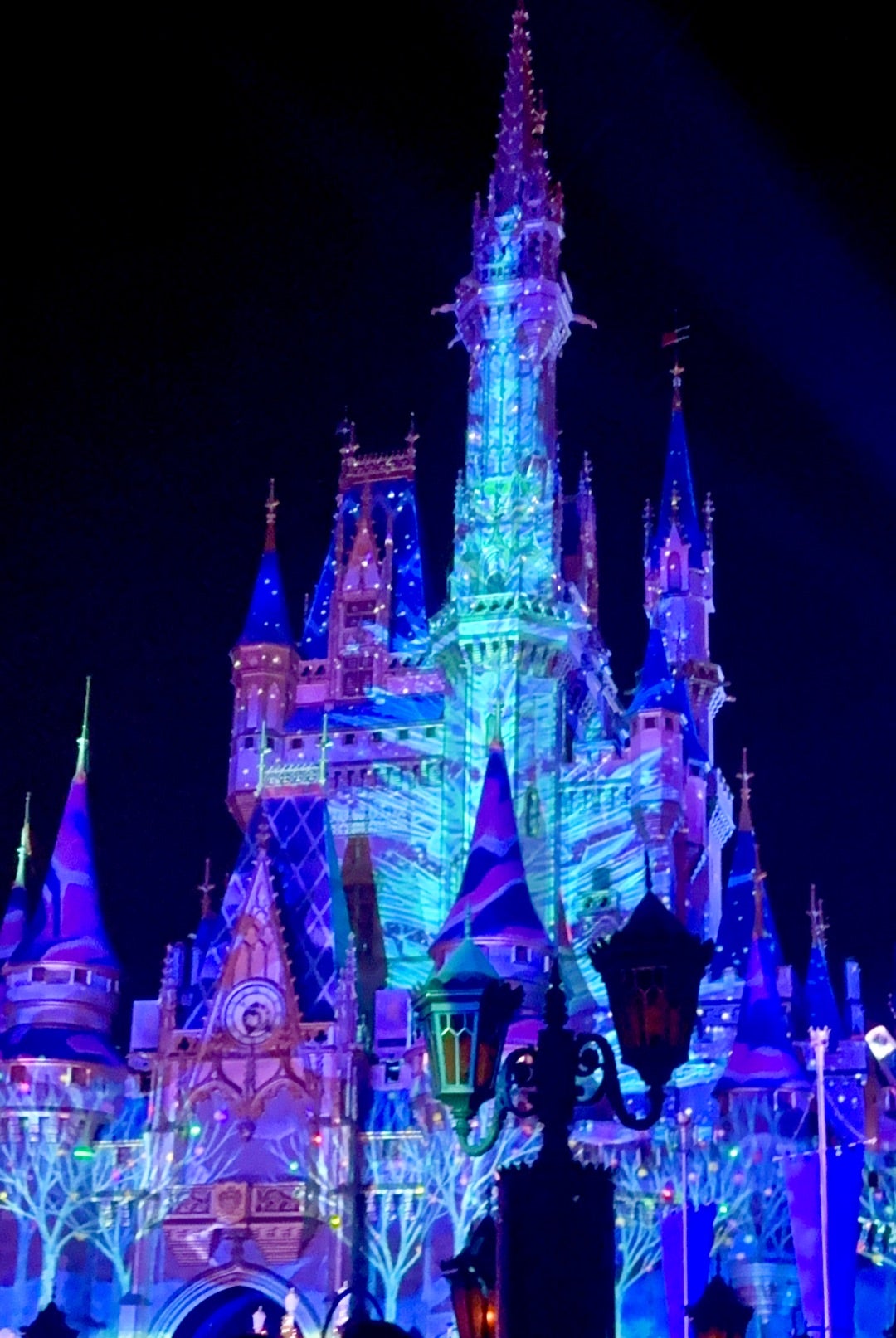 ディズニーワールドマジックキングダムwdwマジキンミッキーのベリー