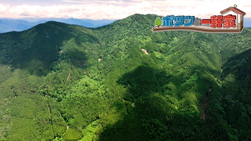 ポツンと一軒家 7月14日 リアルタイム配信 深い山奥に喫茶店発見