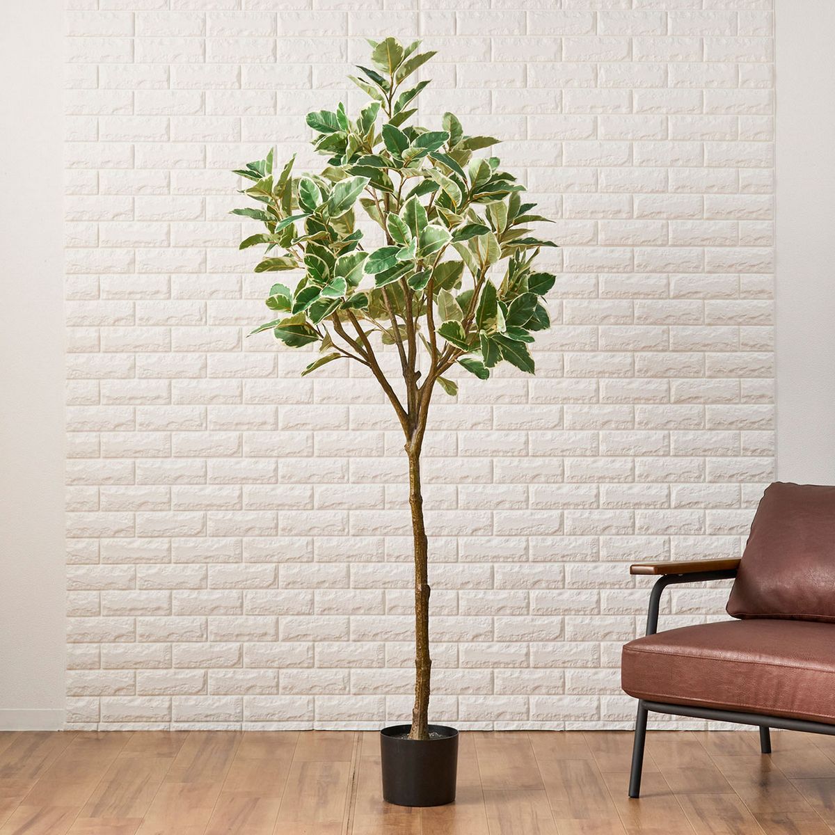 直送】【人工観葉植物】MAGIQ東京堂/☆AX☆ラバーツリー斑入ポット