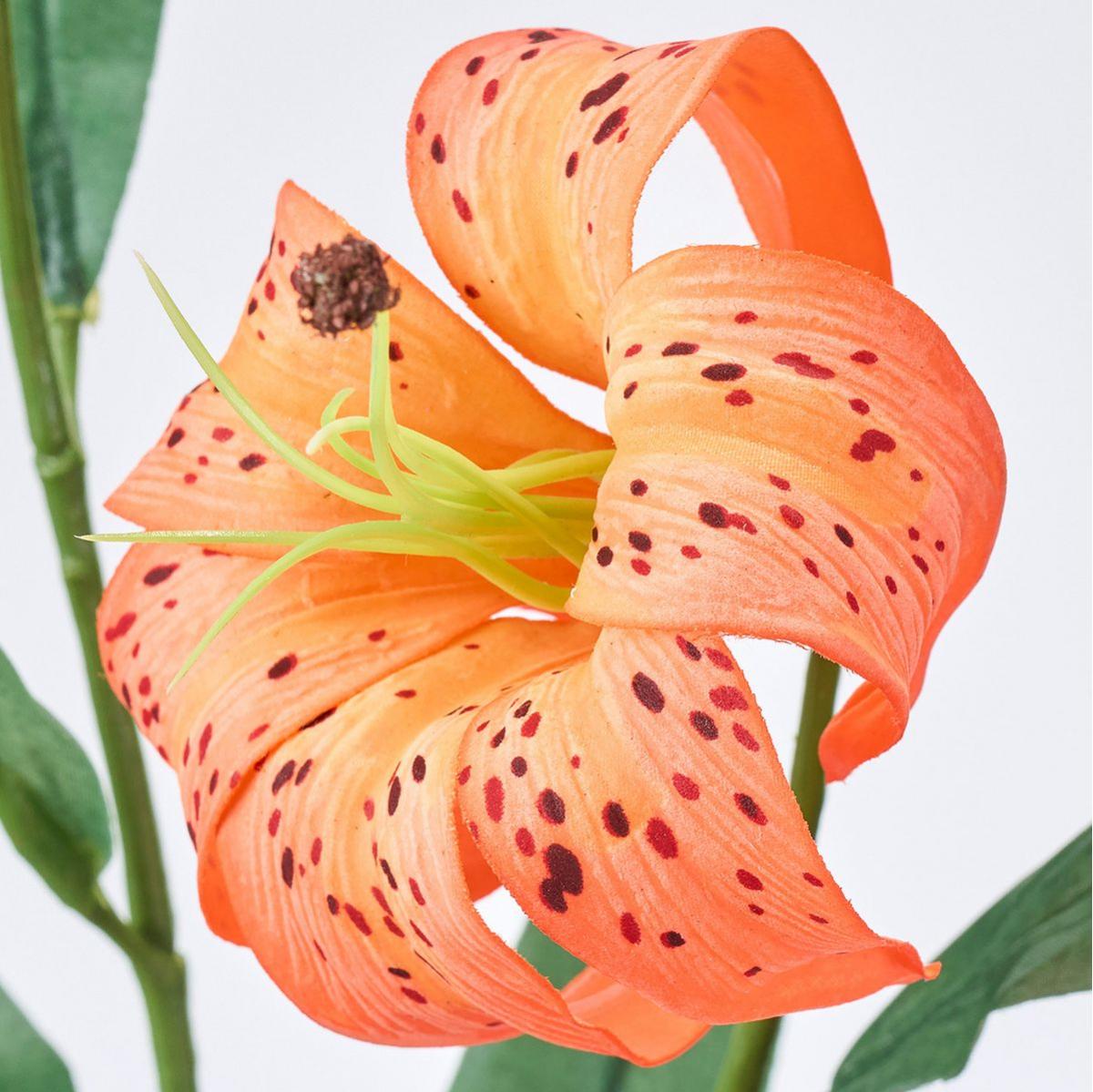 造花】MAGIQ東京堂/タイガーリリー #9 ORANGE オレンジ/FM008863-009