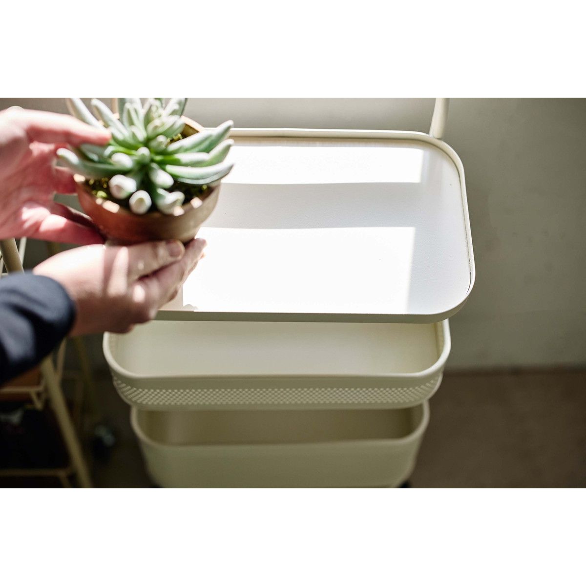 アビテ/ピヴォ・トローリーラック アイボリー/ZK-901-IV - 花材通販は