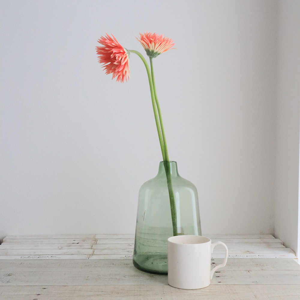 生花】【さぎやま】大輪ガーベラ センシーニ(サーモン系・芯黒
