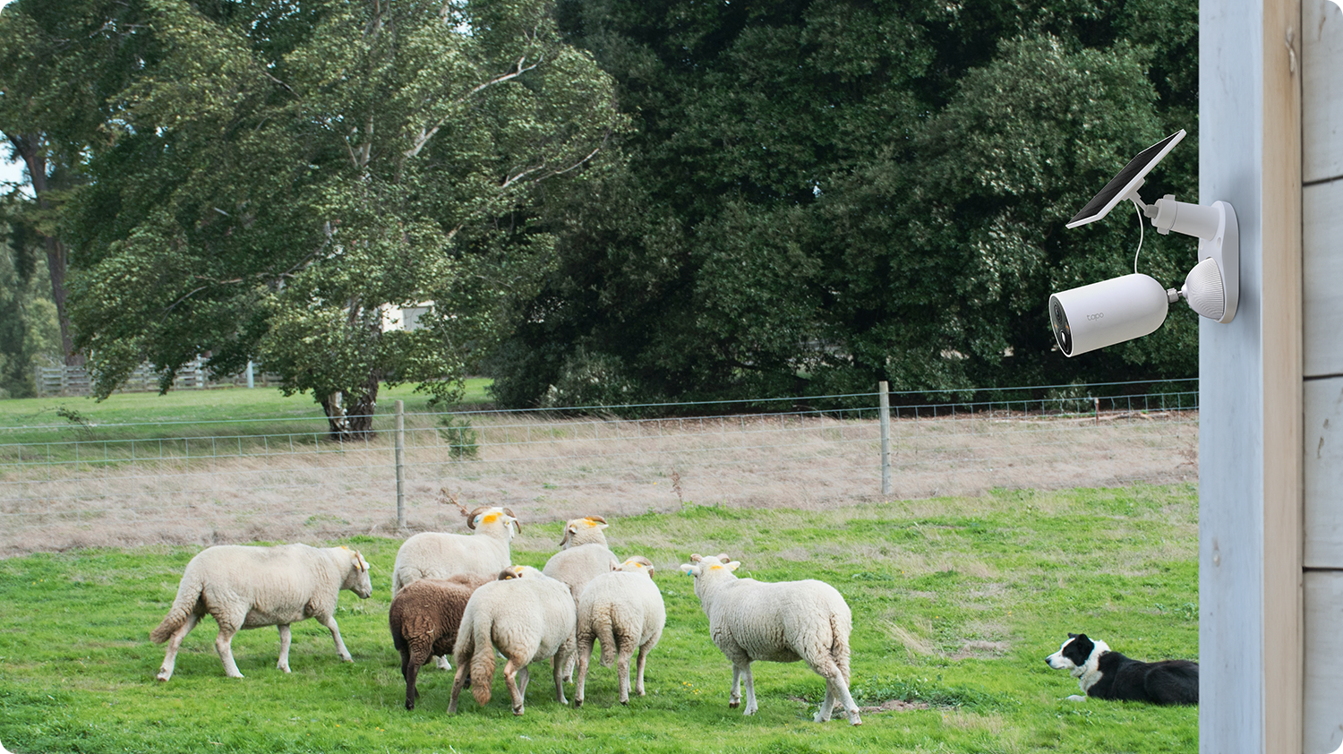 TC85 KIT | ソーラー給電セキュリティカメラキット | TP-Link 日本