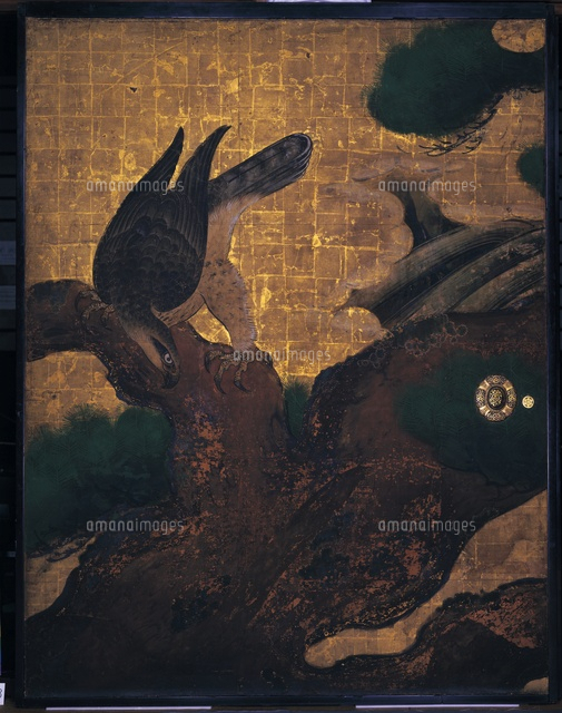 松鷹図[20061000174]の写真・イラスト素材｜アマナイメージズ