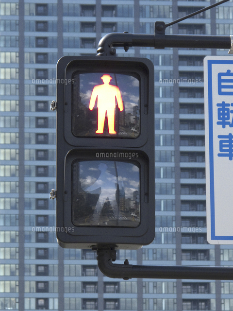 新型の歩行者用信号機[10131070426]の写真・イラスト素材｜アマナ