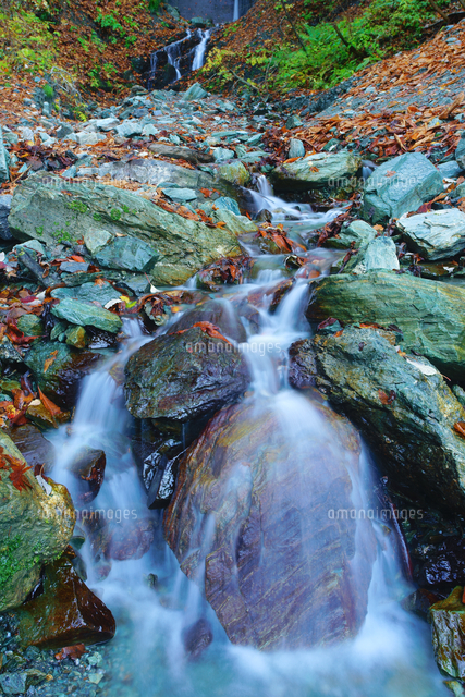分杭峠のゼロ磁場の水場[10247025118]の写真・イラスト素材｜アマナ