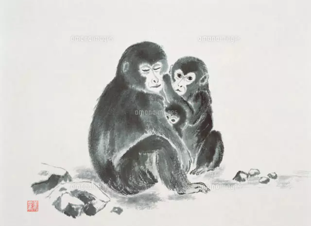 猿の墨絵[22451031308]の写真・イラスト素材｜アマナイメージズ