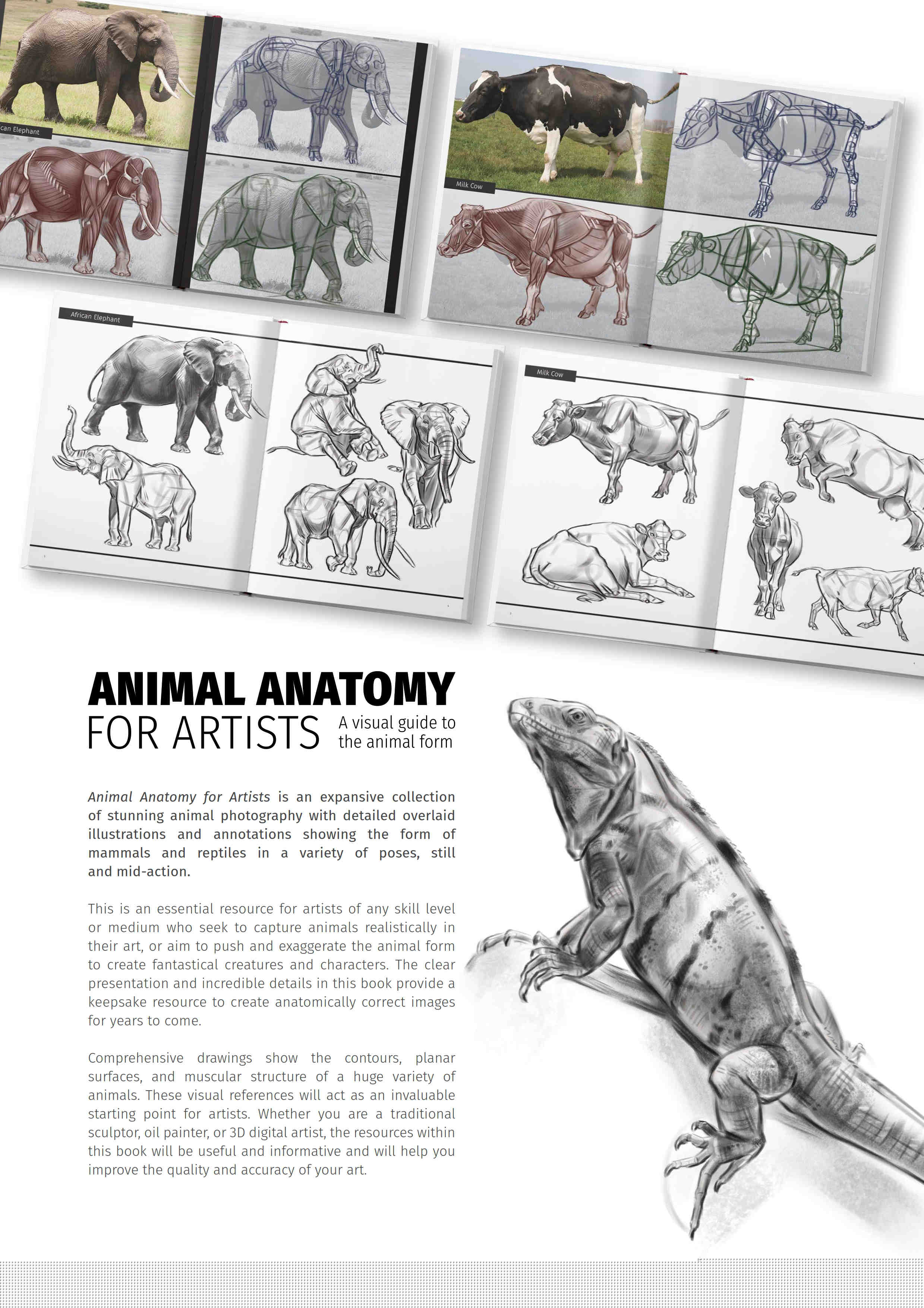 Animal Anatomy for Artists by 3dtotal Publishing | A visual guide
